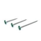 OEM 65mm Plastic Head Nails , Outside Construction And Building Nails