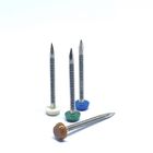 A4 Stainless Steel Plastic Head Nails
