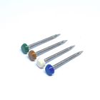 A4 Stainless Steel Plastic Head Nails