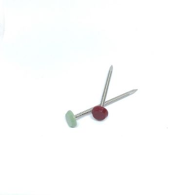 2.7X50MM Annular Ring Shank Poly Top Nails Untuk Memperbaiki Fascia