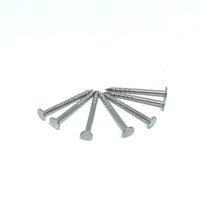 1.6X19MM Ring Shank 316 paku kepala datar stainless steel