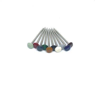 A4 Stainless Steel UV Stabil Plastik Kepala Kuku Kepala Nylon PA6