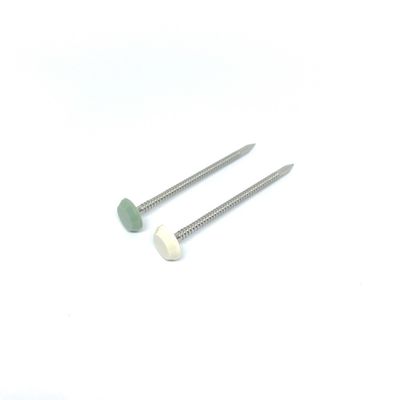 Perawatan Stainless Steel Gratis Kuku Berkepala Plastik Nylon PA6 50MM Panjang