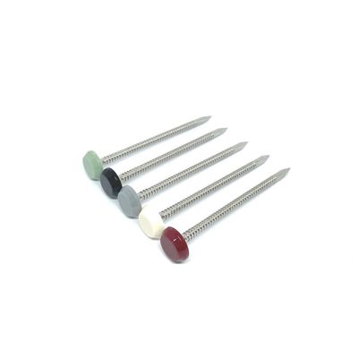 Kuku Kepala Plastik Nylon Panjang 65MM Dengan Ringed Shank