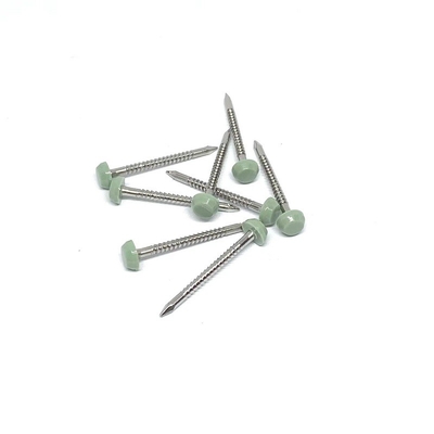 Stainless Steel A2/A4 Ring Shank Kepala Plastik Kuku 2.0X30mm