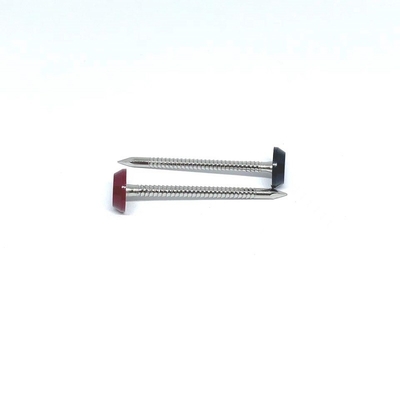 Kuku Kepala Plastik Annular Ring Shank Untuk Atap 3.0X50MM