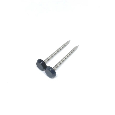 A4 Stainless Steel Ring Shank Kepala Plastik Kuku Hitam Antrasit Abu-abu 50MM